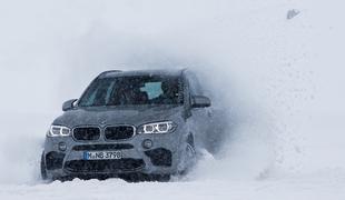 Kako se BMW obnese na snegu?