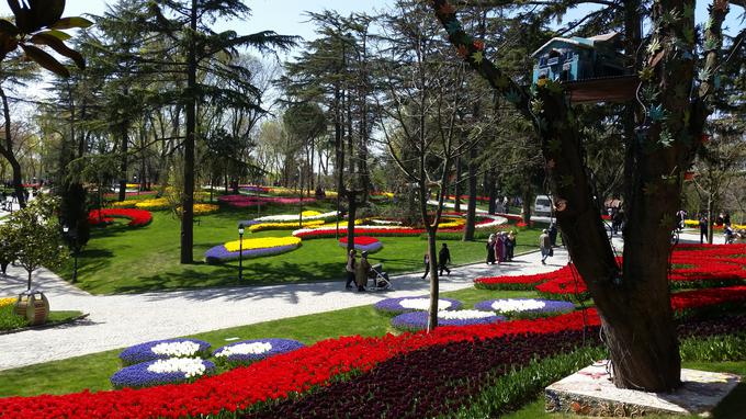 Na festivalu tulipanov. Tulipan je eden eden od simbolov Turčije. | Foto: 