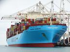 Maersk tovorna ladja Koper