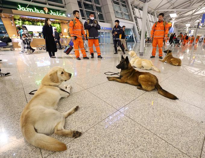 Južnokorejski reševalci in iskalni psi se pripravljajo na odhod v Turčijo na mednarodnem letališču Incheon v Južni Koreji. | Foto: Reuters