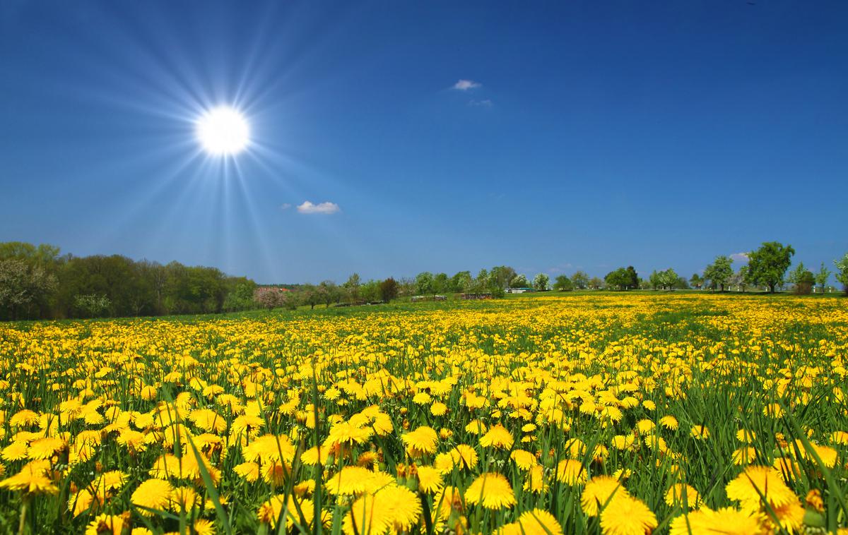 Sonce. Vreme. Pomlad. Hribi. | Do zdaj so v državi 30 stopinj Celzija najbolj zgodaj izmerili 23. aprila 2018. | Foto Shutterstock
