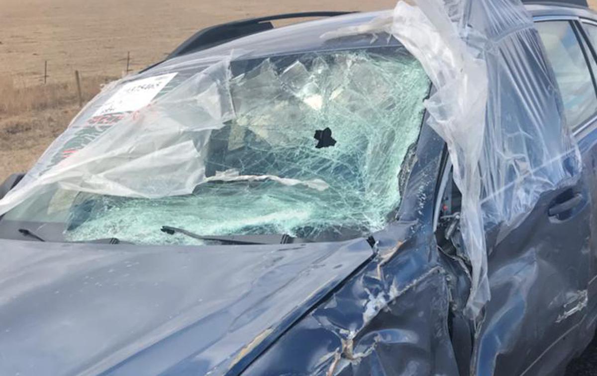 avtomobil vetrobransko steklo nesreča | Foto Montana Highway Patrol