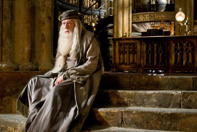 Michael kot Dumbledore | Foto: IMDb