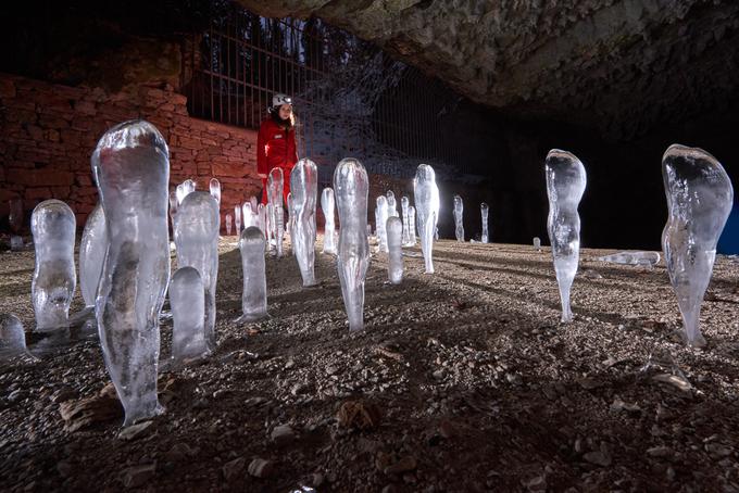 ledeni kapniki v Postojnski jami | Foto: Iztok Medja