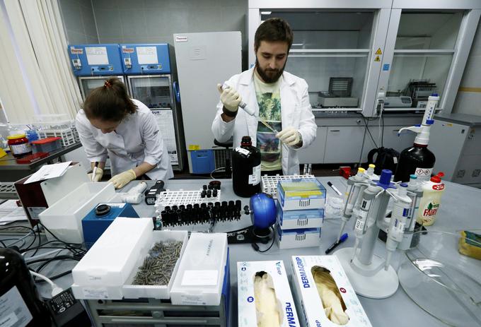 Odgovorna protidopinška organizacija odvzeti vzorec pošlje v enega od laboratorijev, akreditiranih pri organizaciji WADA, najbližja Sloveniji sta na Dunaju in v Kölnu. | Foto: Reuters