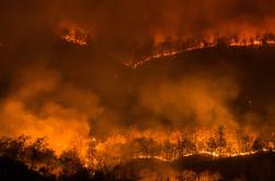Požari v gozdovih Kolorada ne pojenjajo