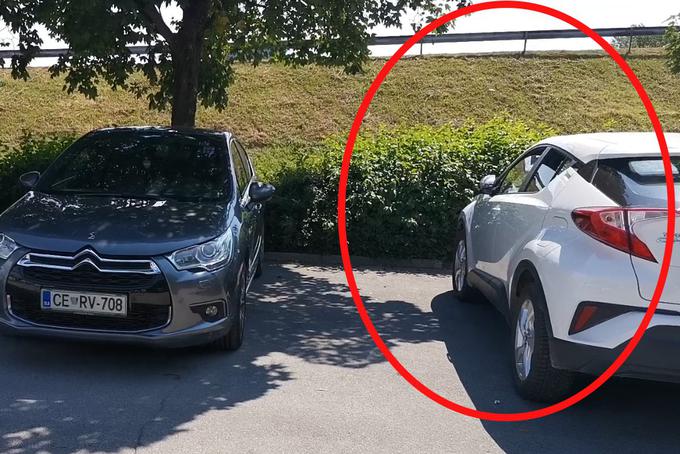 Lastnica avtomobila, sicer Slovenka, je policistom kasneje zatrdila, da je parkirala v senci, kar pa zaradi postavitve dreves v bližini parkirišča - pred njenim avtomobilom ni bilo nobenega - najverjetneje pomeni, da je bil pes v avtomobilu zaprt več kot eno uro in pol.  | Foto: Matic Tomšič