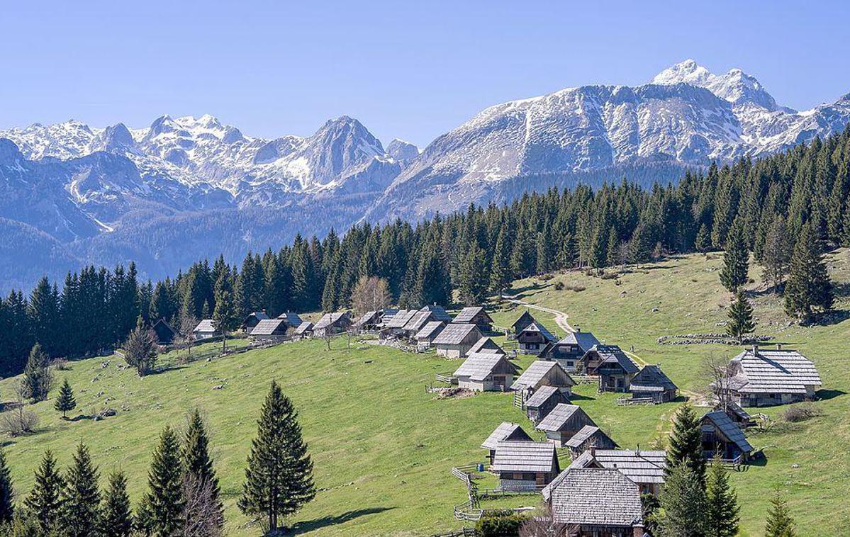 zajamniki | Planina Zajamniki na zahodnem robu Pokljuke ponuja čudovit razgled na Julijske Alpe (skrajno desno jeTriglav, pod njim je greben Tosca, levo pa Mišelj vrh) in pastirske stanove, ki so "zloženi" v fotogenično ulico. | Foto Wikipedia