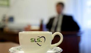V SLS kritični do napovedanega davka na nepremičnine
