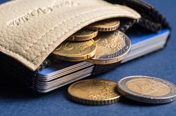 Za slovenske denarnice želijo zbrati deset tisoč evrov