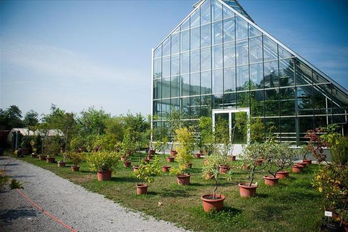 S tem, ko ljubljanski botanični vrt hrani 20 odstotkov slovenske flore, je Slovenija že izpolnila 8. točko GSPC (Global strategy for plant Conservation) - mednarodne konvencije o biodiverziteti (fotografija je simbolična).  | Foto: Bor Slana