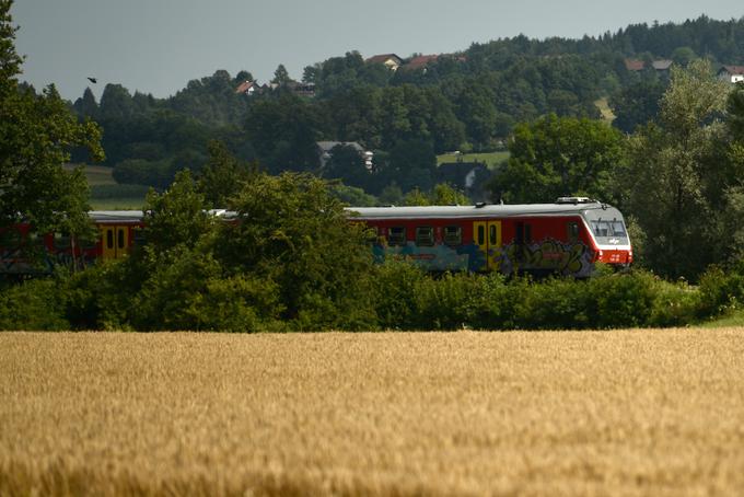 vlak slovenske železnice | Foto: STA ,