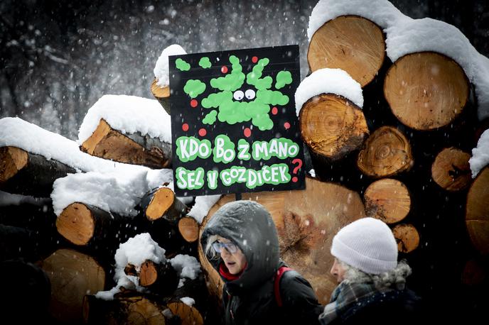 Protest proti sečnji gozda na Rožniku | Foto Ana Kovač