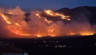 Pri Dubrovniku se je razplamtel obsežen požar #video