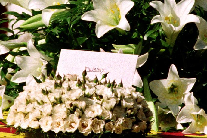 princ harry, princ william, pogreb, dian, princesa diana | Foto Reuters