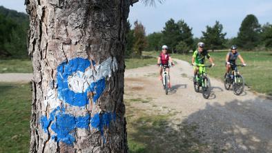 Na kolesarski poti, ki obrede vso Slovenijo, se obeta nekaj posebnega #foto