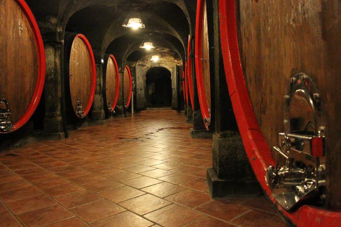 Vinorodna dežela Posavje v ponudbi priznanih lokalnih vinarjev prinaša pestro paleto vrhunskih in izbranih vin. | Foto: 