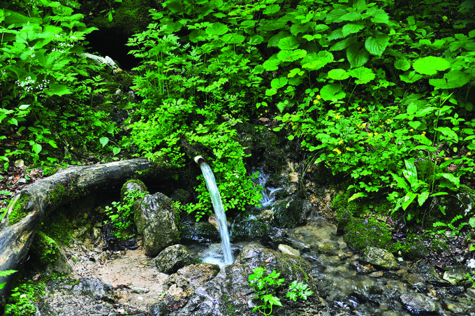 Minutnik, ljudsko ime zanj je Prenehavnik, je izvir zaganjalnik, ki se nahaja na Gorjancih, na levem bregu potoka Pendirjevka. Izvira iz špranje, prekrite z dolomitnim gruščem v pobočju strme grape. Voda priteka na dan v različnih časovnih intervalih. Tako ob suši voda privre na dan vsakih šest minut in teče 25 sekund. Ob manjši namočenosti terena pretok vode niha od 0,3 do 0,15 litra na sekundo, voda pa dve minuti teče močneje in dve minuti šibkeje. Ob srednji namočenosti pretok vode niha od 0,5 do 2 litra na sekundo, voda pa osem minut teče močneje, osem minut pa šibkeje. Ob visoki namočenosti je pretok vode večji od deset litrov na sekundo, nihanja vode pa ni opaziti. Izvir je od leta 1992 zavarovan kot naravni spomenik. Foto: Arhiv Mladinske knjige | Foto: Arhiv Mladinske knjige