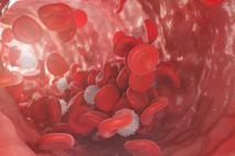 rdeče krvničke, eritrociti