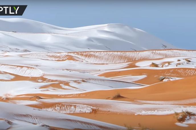 Sahara puščava sneg | Foto Ruptly