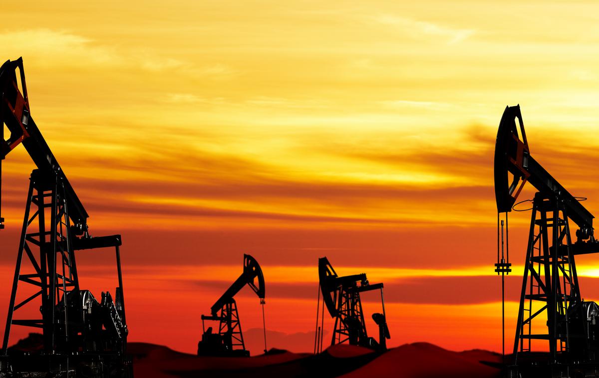 nafta zemeljski plin bencin dizel | Nafto so iskali od junija lani, v projekt pa so vložili 20 milijonov evrov. | Foto Shutterstock