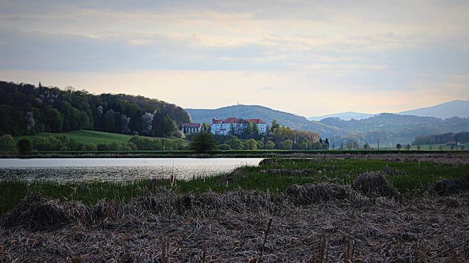 Jezero Komarnik in grad Hrastovec v ozadju | Foto: Tatjana Vogrin