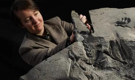 Na Škotskem odkrili največji fosil jurskega pterozavra #foto