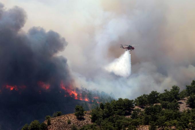 Po prvih ocenah je na Rodosu do zdaj pogorelo 150 kvadratnih kilometrov gozda. | Foto: Reuters