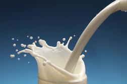 Vipavska kmetijska zadruga išče novega lastnika za mlekarno