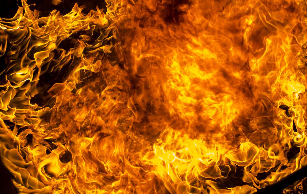 ogenj, požar | Ogenj je zajel približno pet hektarjev podrasti in borovcev. Fotografija je simbolična. | Foto Getty Images