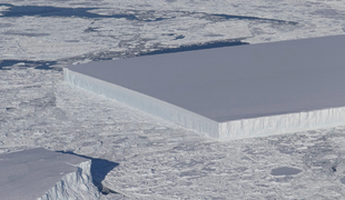 Ob obali Antarktike odkrili izredno nenavadno gmoto ledu