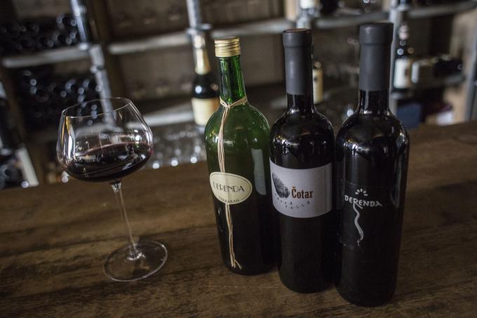 Teran, vino, vinoteka | Foto: Matej Leskovšek
