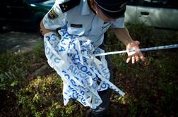 Med oranjem ga je najverjetneje ubila strela