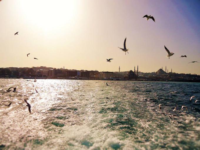"Življenje v Istanbulu nikoli ne počiva. Mesto ima veliko energijo in vedno se nekaj dogaja." | Foto: Osebni arhiv