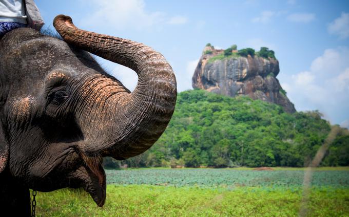 Šrilanka | Foto: Shutterstock