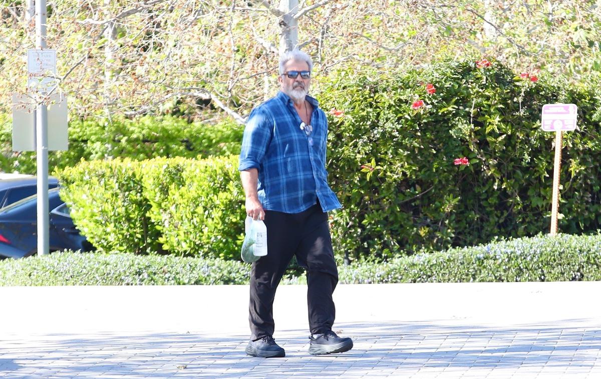 Mel Gibson | Foto Profimedia