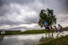 Wings For Life World Run 2016