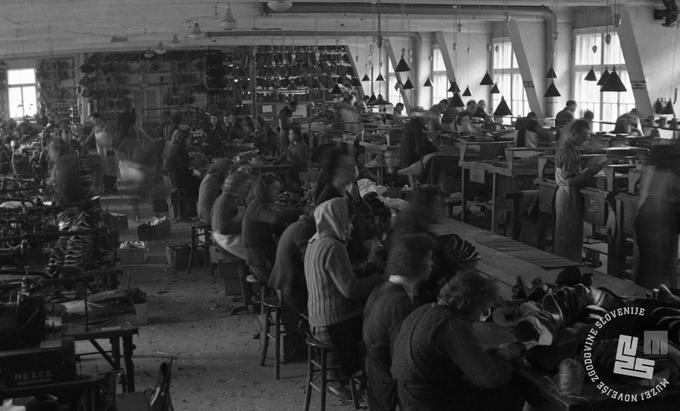 Čevljarska industrija: Peko Tržič novembra leta 1945 | Foto: Rudi Vavpotič, hrani: MNZS