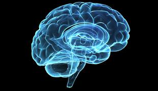 Ali veste, kako izboljšati delovanje možganov?
