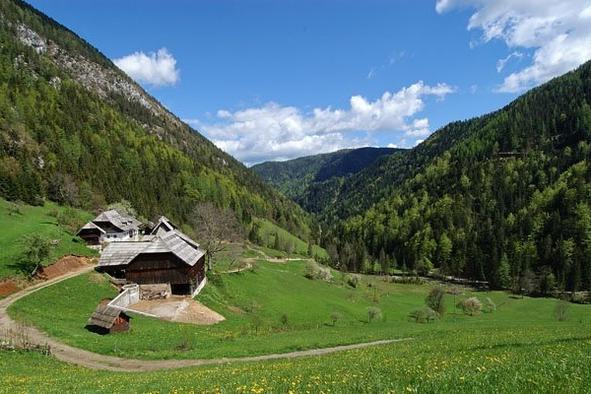 Ideja za konec tedna: v eno najslikovitejših gorskih dolin v Sloveniji