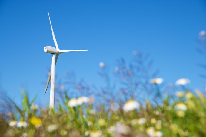 Industrija vetrne energije je na dobri poti, da v prihodnjih letih doseže rekordno rast. | Foto: Getty Images