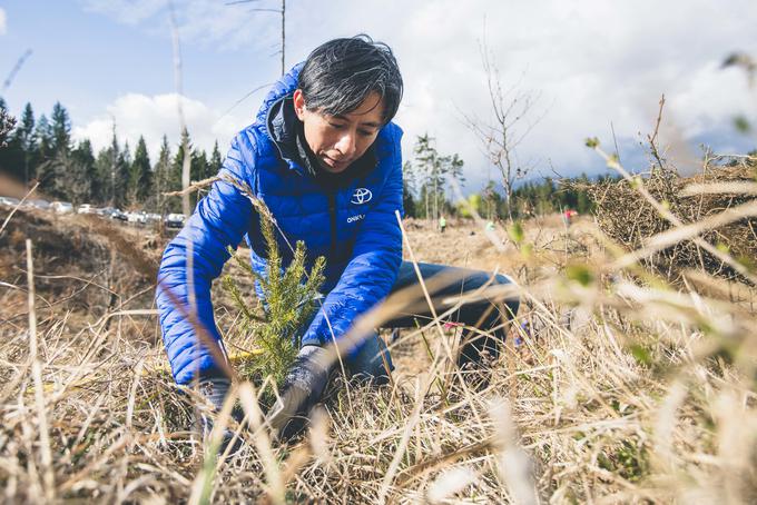 Med delom v Sloveniji se je Japonec preizkusil tudi že v sajenju dreves. | Foto: Toyota
