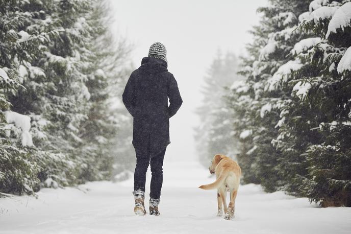 hoja sprehod sneg | Foto Thinkstock