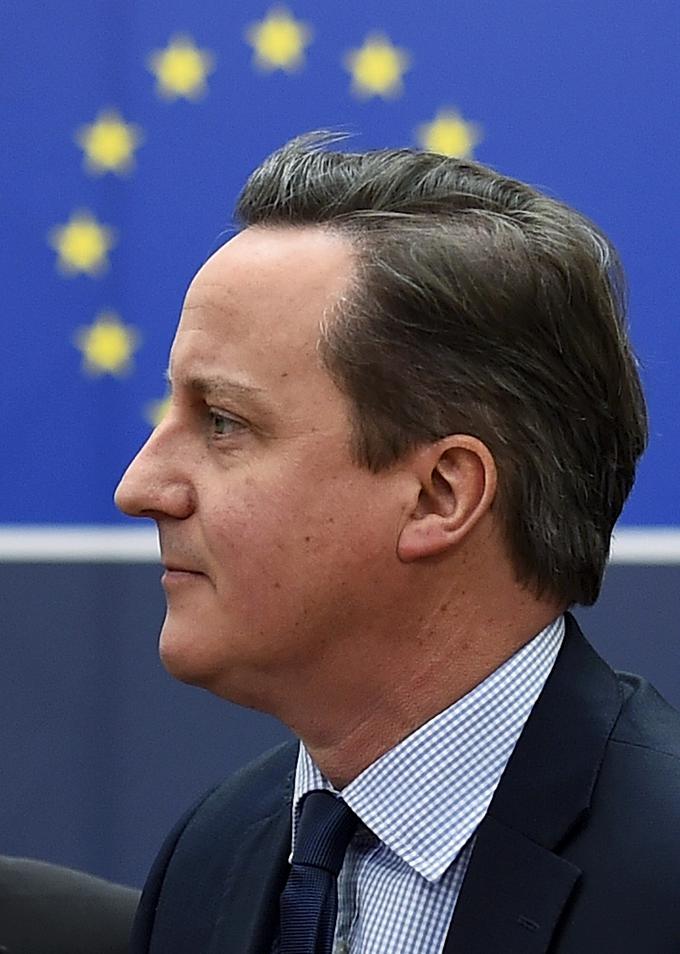 Britanski premier David Cameron vodi močno proevropsko kampanjo. | Foto: Reuters