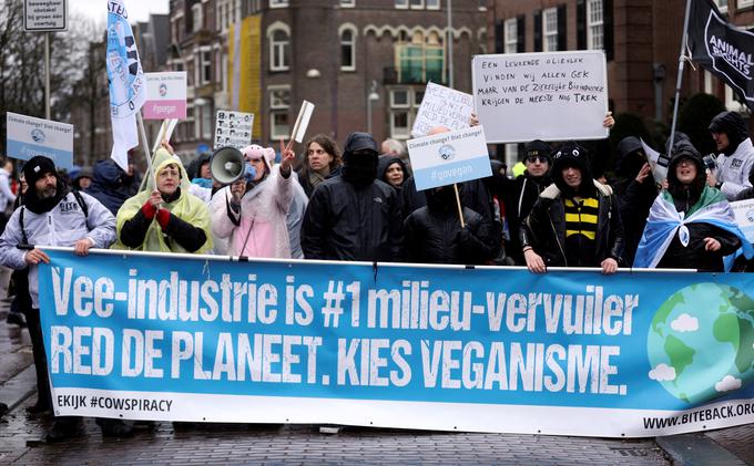 podnebne spremembe shod Amsterdam zemlja globalno segrevanje podnebje | Foto: Reuters