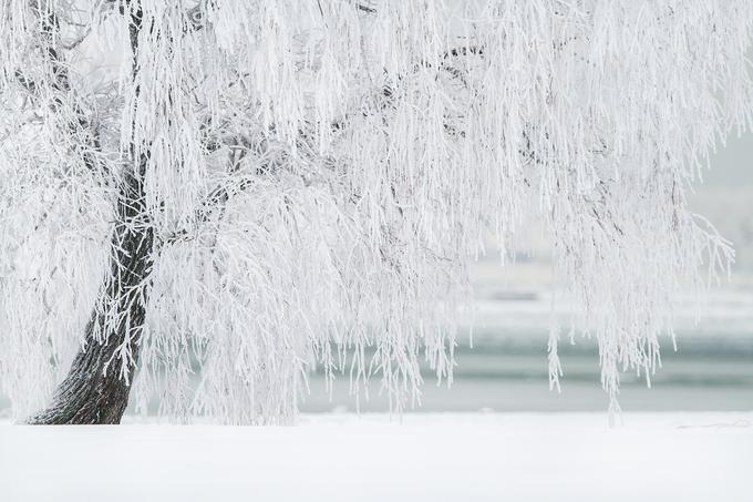 Na Finskem za sneg poznajo kar nekaj imen. | Foto: Pixabay