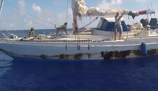 Jadralki rešili šele po petih mesecih na oceanu #video