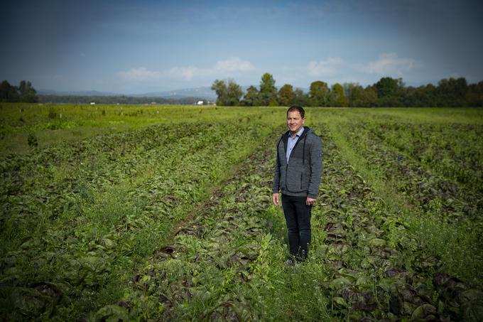 Nakup lokalno pridelane hrane pomembno vpliva na razvoj podeželja in ohranjanje kulturne krajine | Foto: Ana Kovač
