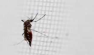 Nova teorija zarote: virus Zika je biološko orožje za masovno pobijanje ljudi
