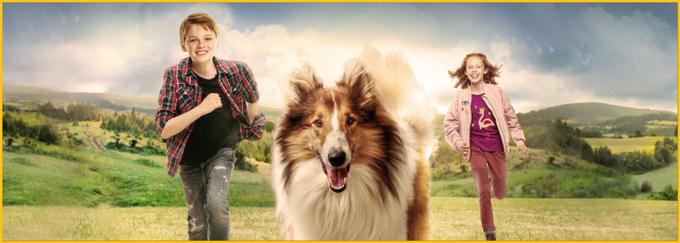Srčna zgodba o nerazdružljivem prijateljstvu med dečkom in škotsko ovčarko temelji na priljubljenem romanu angleškega pisatelja in scenarista Erica Knighta, po katerem so že leta 1943 posneli družinsko klasiko Lassie se vrača. • Film je na voljo v videoteki DKino. | Foto: 